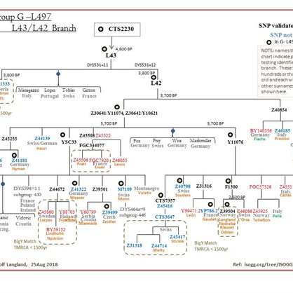 G-L497 Y-DNA - Photos | Family Tree DNA