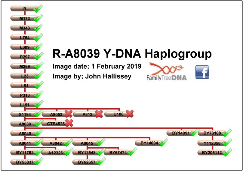 Haplogroup R-A8039