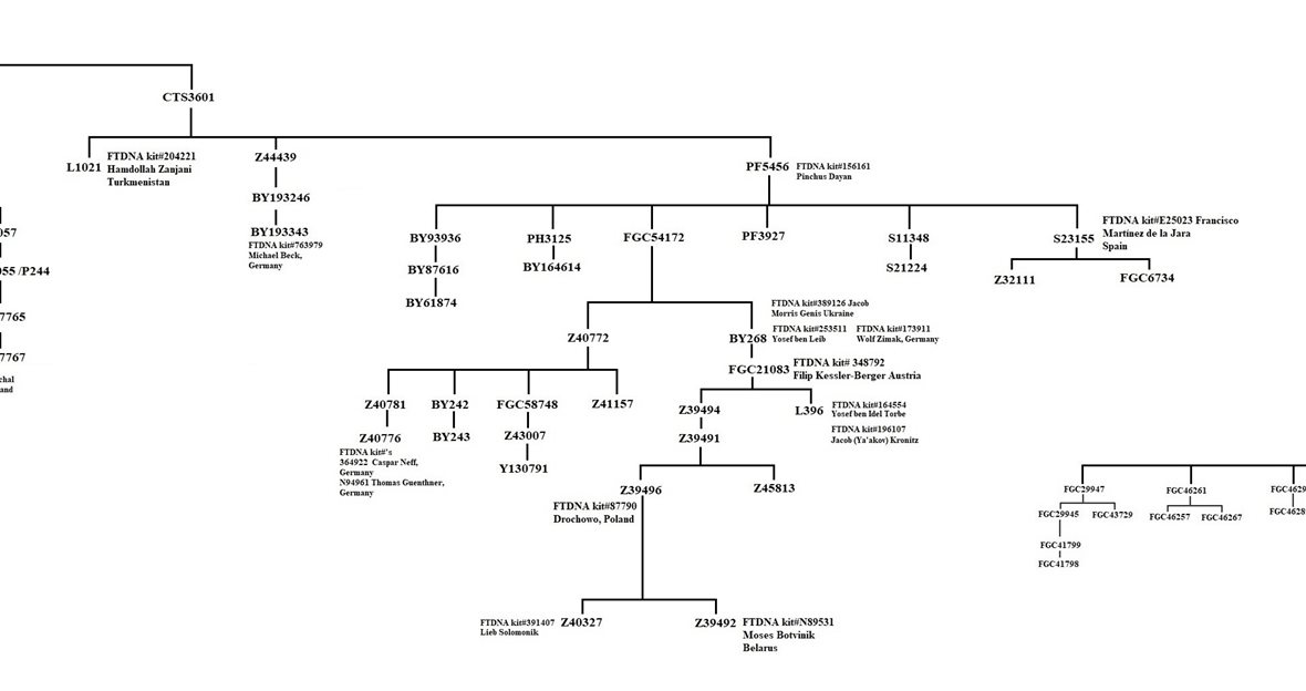 J2a-L24-Y-DNA - Activity Feed | FamilyTreeDNA