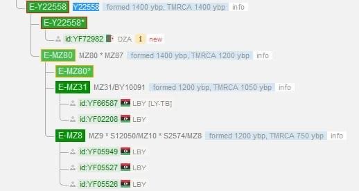 E-M81 - Activity Feed | FamilyTreeDNA